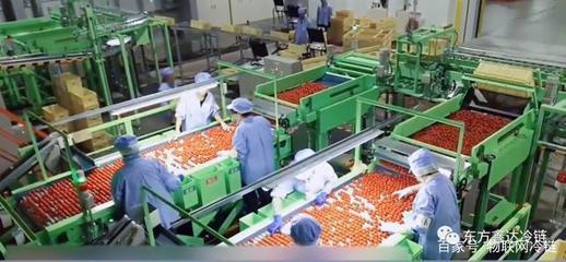 東方鑫達(dá)冷鏈補(bǔ)短板 重資布局農(nóng)產(chǎn)品產(chǎn)地一公里