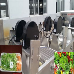 【小型蔬菜清洗加工設備價格-氣泡清洗機-多功能蔬菜清洗機設備】-