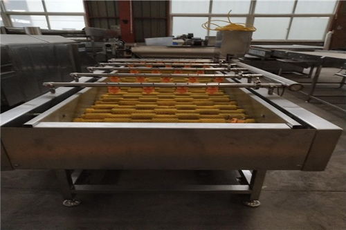 漣源龍蝦清洗機小型哪里買致電祥詢