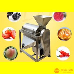 小型不銹鋼榨汁機 水果榨汁機