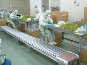 蔬菜清洗機-蔬菜脫水機-食品速凍機_上虞市華豐食品機械