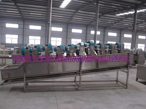 大洋牌商用果蔬風干機,翻轉(zhuǎn)式氣流風干設備