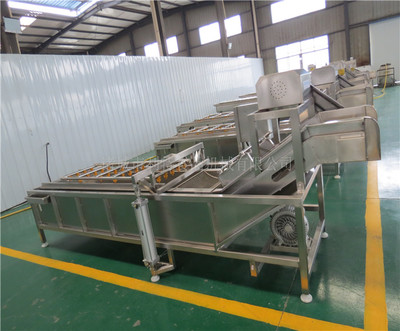 水果氣泡清洗機哪家好-陜西氣泡清洗機哪家好-諸城利特機械公司