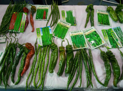 市蔬菜辦組團參加第25屆中國楊凌農高會