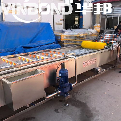 蔬菜自動氣泡清洗機,果蔬清洗設備,凈菜加工設備,瓜果清洗機,番茄清洗機,辣椒清洗機,蘑菇清洗機 食品機械設備網