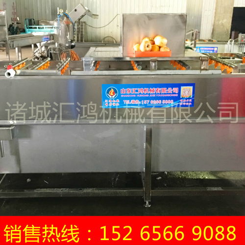 橙子清洗機,血橙清洗加工設備,毛輥清洗機廠家