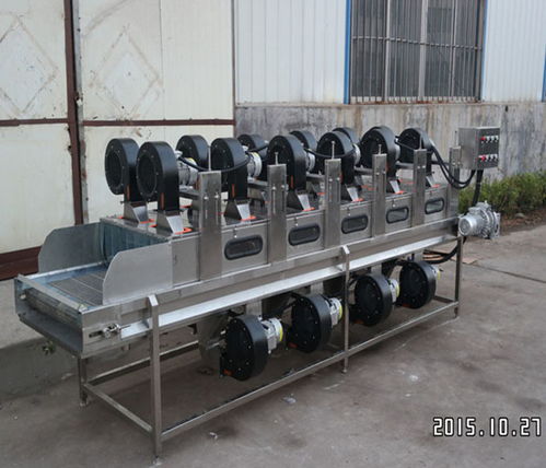 嘉信工業(yè) 吉林西藍花清洗風干加工設(shè)備