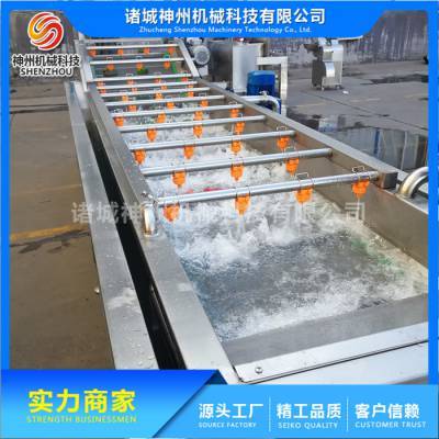 蔬菜凈菜加工流水線 諸城神州機械 大姜凈菜加工流水線