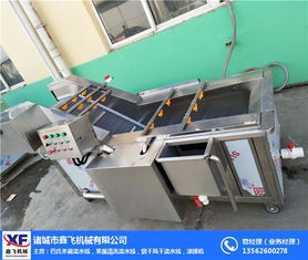 蔬菜氣泡清洗機廠家 諸城鑫飛機械 甘肅蔬菜氣泡清洗機