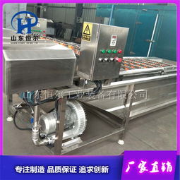 不銹鋼蔬菜清洗機 山東恒爾專業制造，提升蔬菜加工效率