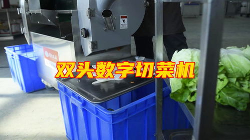 雙頭數字切菜機 多功能蔬菜加工設備的革新與應用
